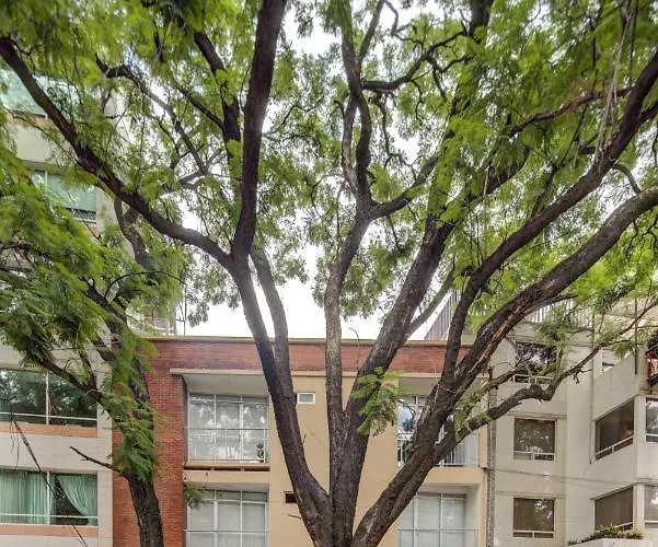 Grupo Kings - Horacio 1525 México DF